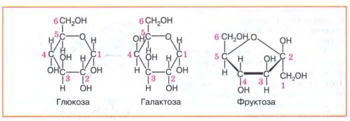 Глюкоза галактоза рибоза. Строение Глюкозы фруктозы галактозы. Глюкоза фруктоза галактоза формулы. Глюкоза и галактоза формула. Структурные формулы Глюкозы фруктозы и галактозы.